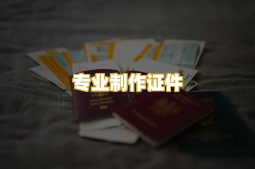 专业制作证件